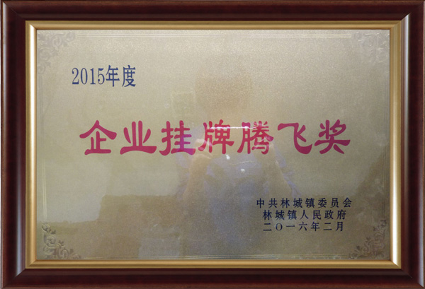 2015年度挂牌腾飞奖